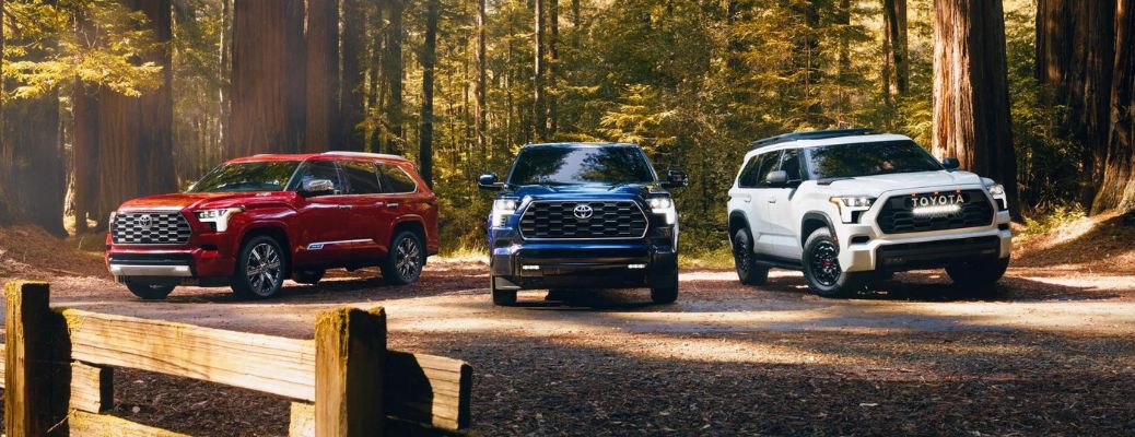 2023 Toyota Sequoia SUVs parked together